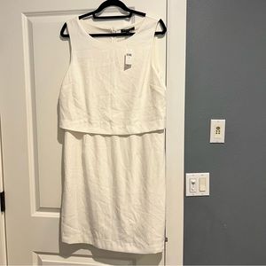 NWT gorgeous ivory sheath dress